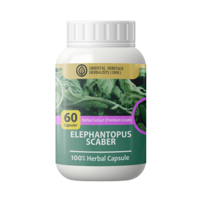 Травяные капсулы для мужчин с Elephantopus scaber (Elephantopus scaber capsule 60pcs)