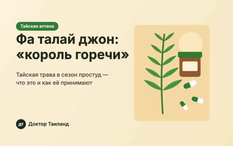 Фа талай джон — тайская трава андрографис, обложка статьи Доктор Таиланд