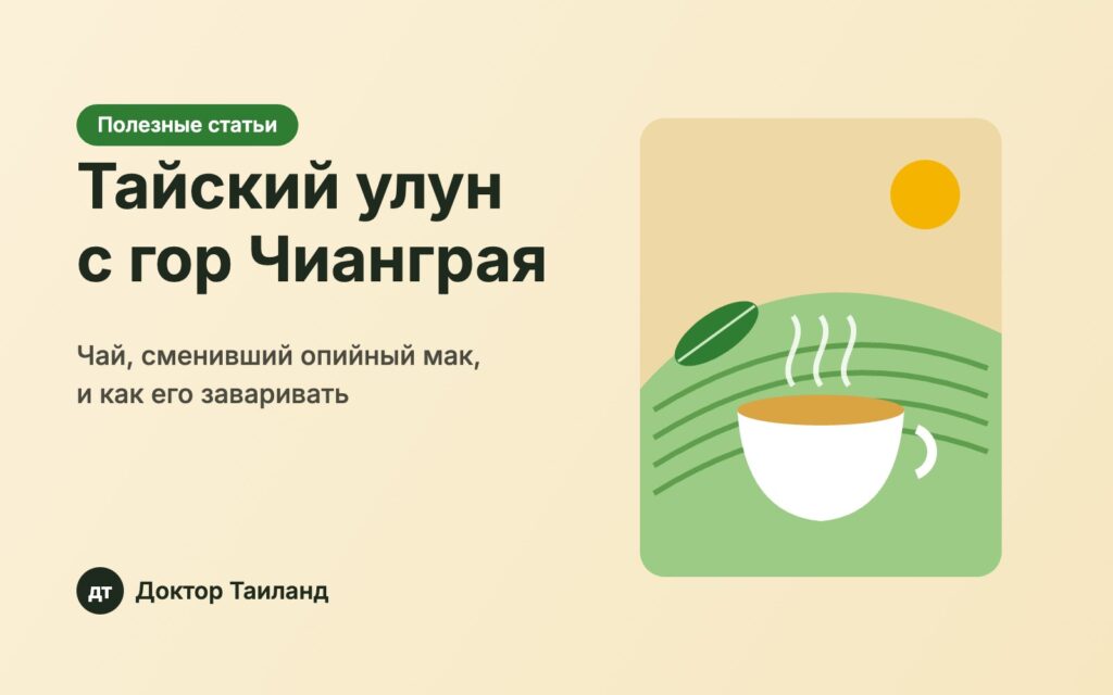 Тайский улун с гор Чианграя — обложка статьи Доктор Таиланд