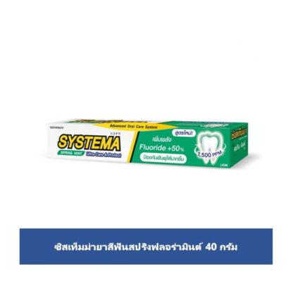Зубная паста Systema «Весенняя цветочная мята», 40 г (Systema Toothpaste Spring Floral Mint 40 g)